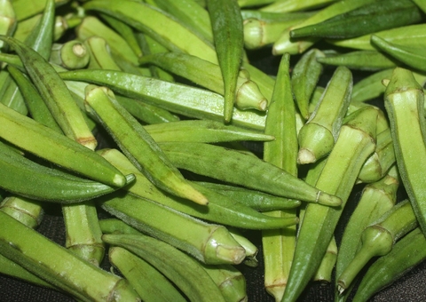 Quiabo faz intestino funcionar melhor e previne doenças; saiba mais