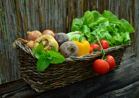 Veja se devemos preferir alimentos orgânicos aos demais
