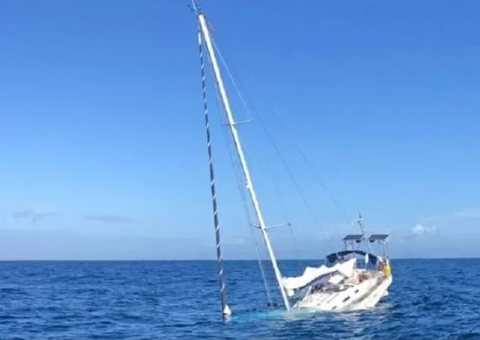 Orcas fazem barco naufragar em menos de 1 hora em Portugal