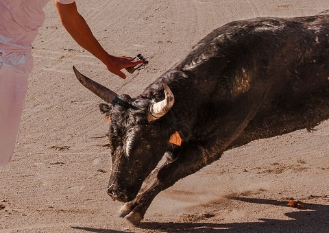 Homem morre ao levar chifrada de touro durante festival; Outro ficou ferido