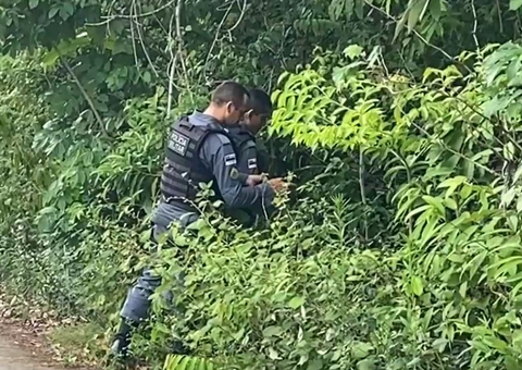 Corpo de bebê é encontrado sendo devorado por urubus na AM-010 