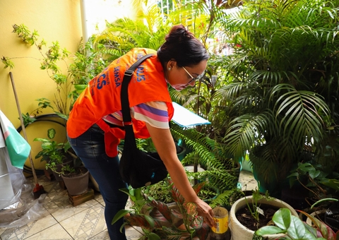 Saiba quais são os 10 bairros de Manaus com mais registros de animais peçon
