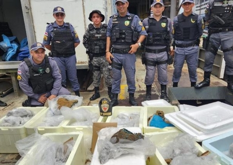 Carga de pedras semipreciosas ilegais são apreendidas em porto de Manaus