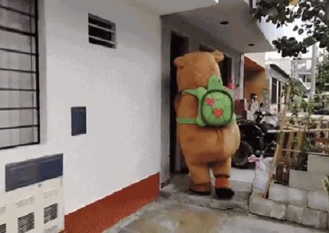 Policial fantasiado de capivara prende traficante em operação; vídeo
