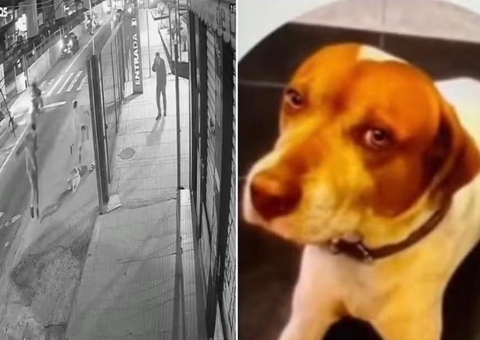PM é identificado após matar cachorro Caramelo com sete tiros em SP