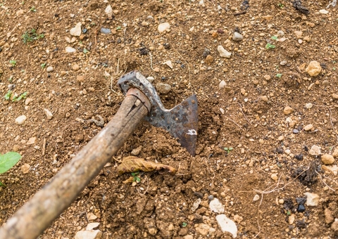 Ossada humana é encontrado no terreno de sítio em Iranduba