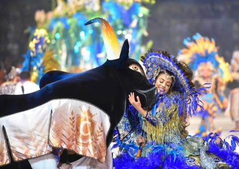 Pesquisa indica 120 bois-bumbás em 23 cidades do Amazonas