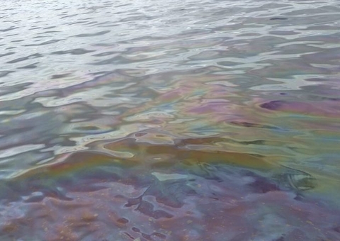 Manchas de óleo são encontradas no Rio Negro e na praia da Ponta Negra