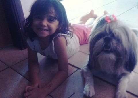 Cachorra morre após impedir ataque de pitbull a criança de 8 anos
