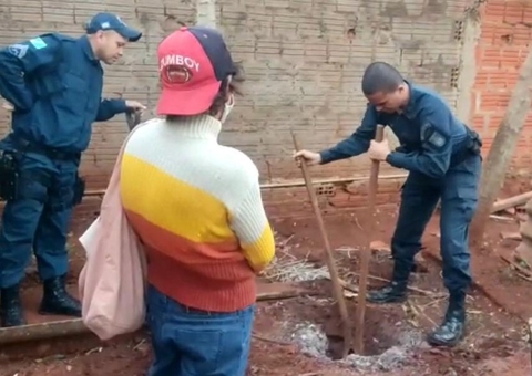 Corpo idoso é encontrado enterrado no quintal e sobrinha confessa crime