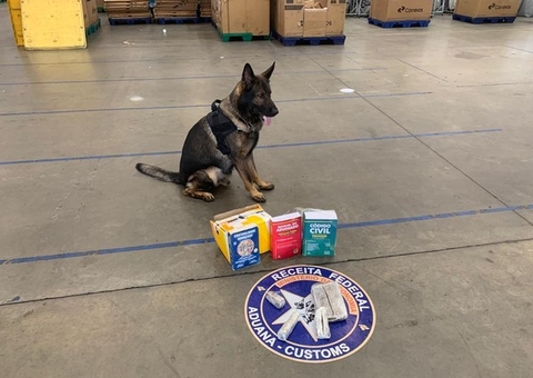 Ação encontra 1kg de skunk dentro de livros de Direito no Porto de Manaus