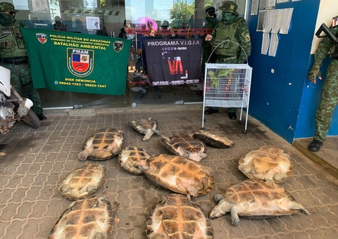 Quelônios e papagaios à venda são resgatados em flutuante no Amazonas