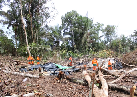 Operação retira barracos de invasão em área de proteção ambiental em Manaus
