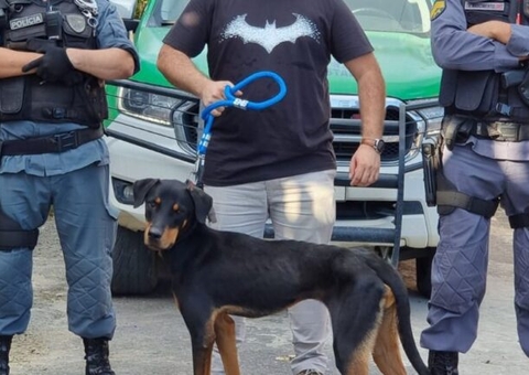 Cachorro é resgatado após passar dias preso sem comida e água em Manaus