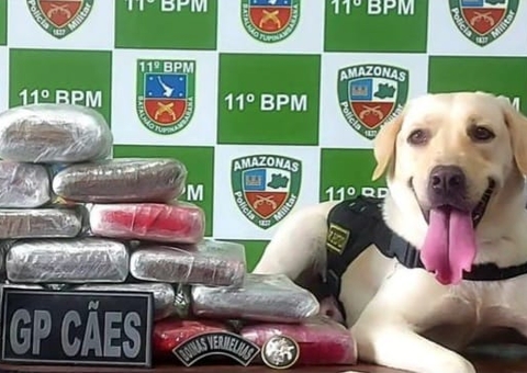 Mulher é presa com 17 tabletes de drogas escondidos em bolsas em barco no Amazonas