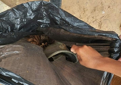 Restos mortais são encontrados debaixo de flutuante no Amazonas