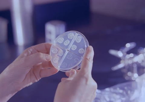 EUA registra 1º caso de doença transmitida sexualmente causada por fungo