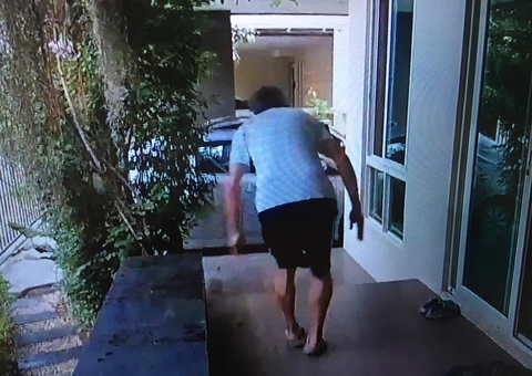 Cobra invade casa e aterroriza morador e animais de estimação; Veja vídeo