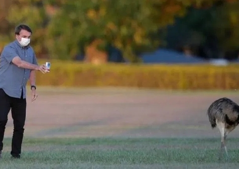 Rosa Weber envia notícia-crime de Bolsonaro à PGR por indicar cloroquina 