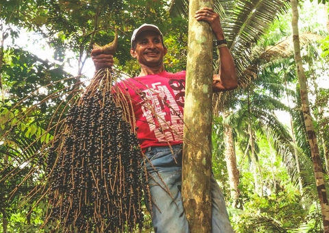 Iniciativas apontam para valorização de serviços ambientais no Amazonas