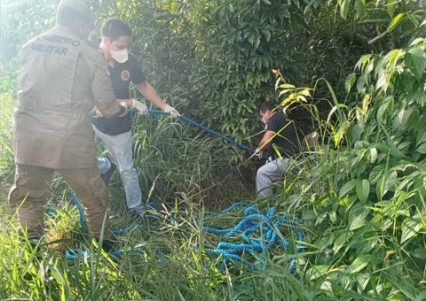 Corpo é encontrado em área de mata em Manaus