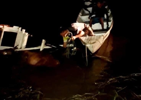 Ambulancha e barco colidem de frente em rio no Amazonas