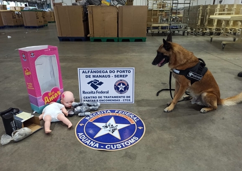 Piscina recheada de drogas é encontrada durante fiscalização em Manaus