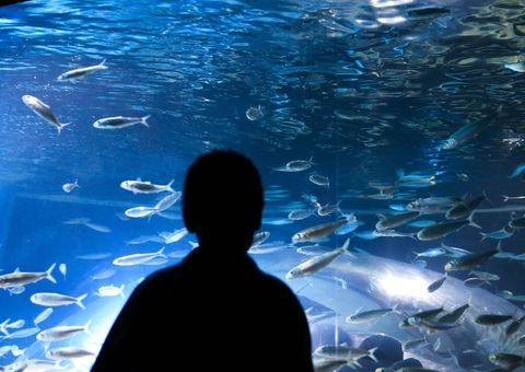 Covid-19 pode apresentar sintomas diferentes em crianças, diz USP