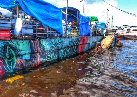 Estudo revela que cor dos rios influencia na proliferação do mosquito da malária no Amazonas