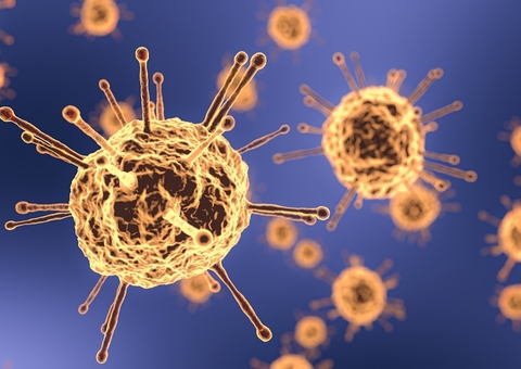 Fungo raro 'mutila' pacientes de Covid na Índia