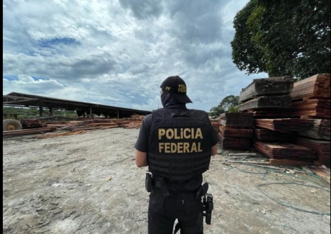 Serrarias são fechadas e multadas em mais de R$400 mil no Amazonas