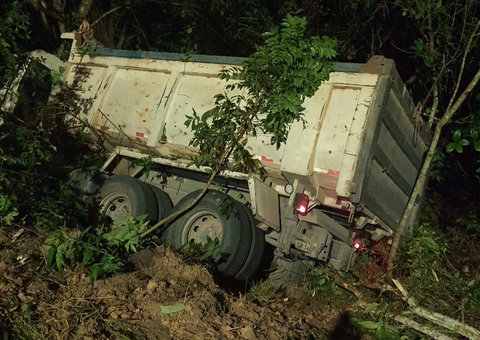 Caminhão desgovernado invade mata e se choca contra árvores em Manaus 