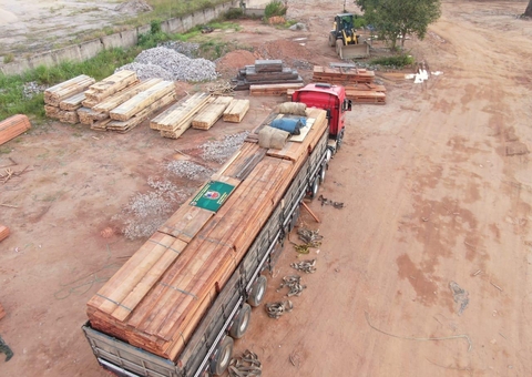 Madeiras ilegais avaliadas em R$ 2 milhões são apreendidas no Amazonas