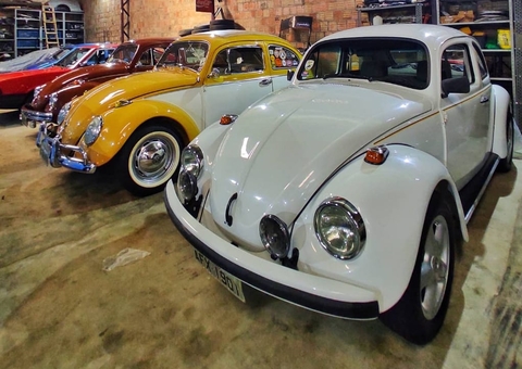 Fusca Clube Manaus comemora Dia do Fusca neste domingo