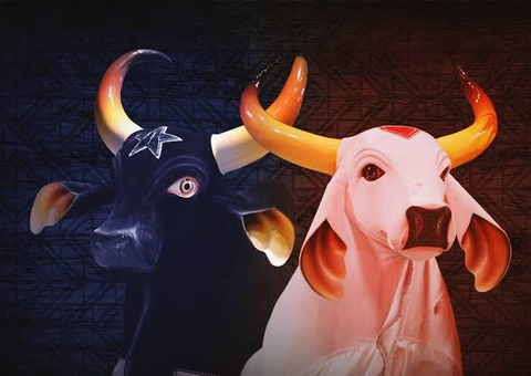 Amazonas - Festival de Parintins sem visitantes!