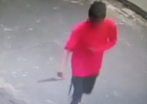 Vídeo: Homem é flagrado agredindo gatos e esfaqueando cachorro em Manaus