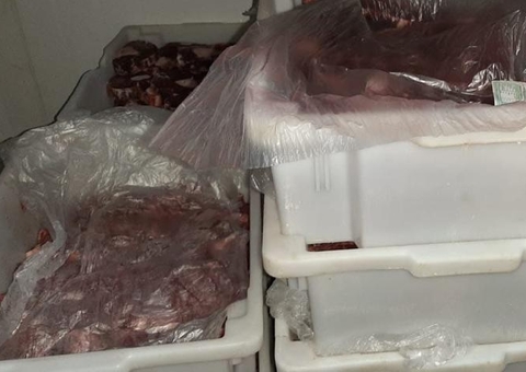 Mais de 20 toneladas de alimentos são apreendidos em comércio de Manaus