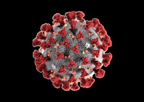 SP avalia antecipar 2º dose de vacina ao confirmar transmissão comunitária de variante delta