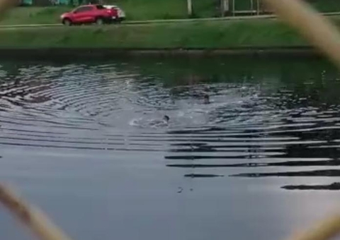 Vídeo mostra momento em que adolescentes teriam se afogado em igarapé de Manaus