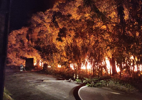 Labaredas de fogo consomem área de mata em Manaus e preocupa moradores