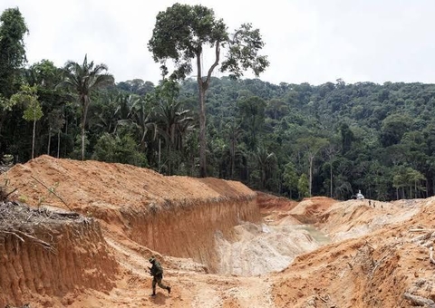 Os garimpos e a devastação da Amazônia!