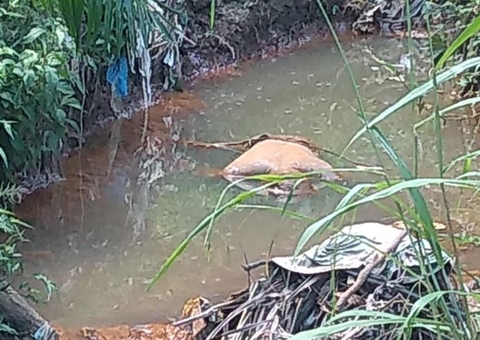 Corpo é encontrado por jovens que brincavam próximo a igarapé no Amazonas