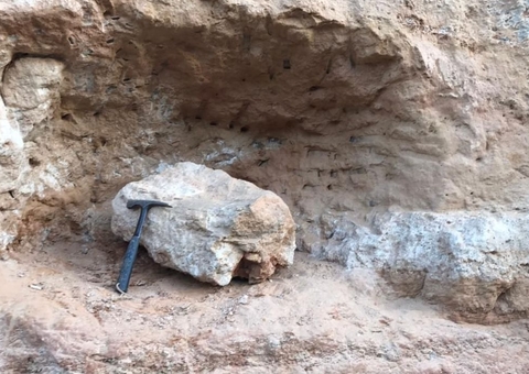 Fóssil de dinossauro é encontrado no interior de SP