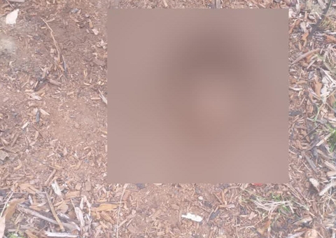 Homem tem a cabeça arrancada após discussão no Amazonas