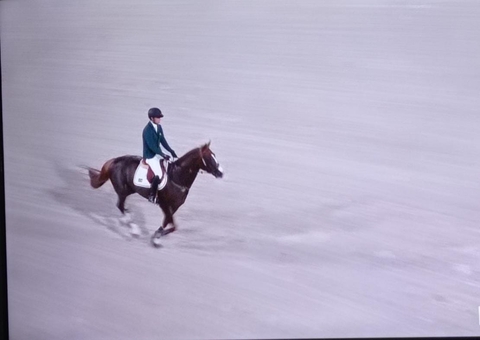 Olimpíadas: Brasil está na final do salto por equipes no hipismo