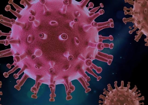 Pesquisa vai reproduzir células para estudar sintomas da covid