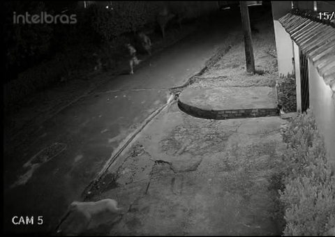 Vídeo mostra momento em que detentos fogem de delegacia no Iranduba