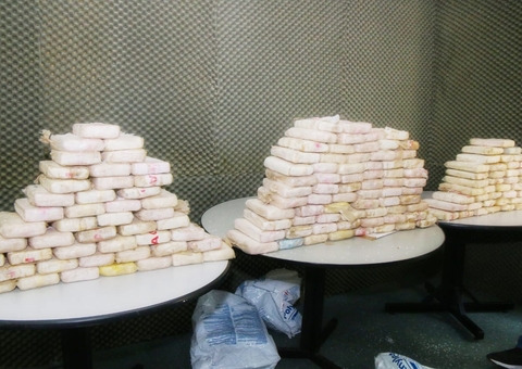 Enterrada na mata, cocaína avaliada em R$3,5 milhões é apreendida em Manaus