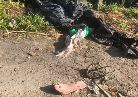 Corpo de mulher decapitada é encontrado por moradores em Manaus