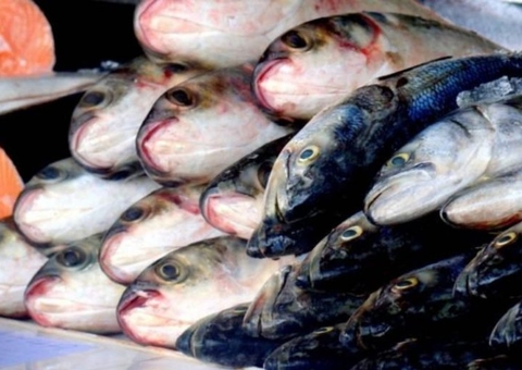 Sobem para 33 os casos de rabdomiólise no Amazonas; 2 são em Manaus